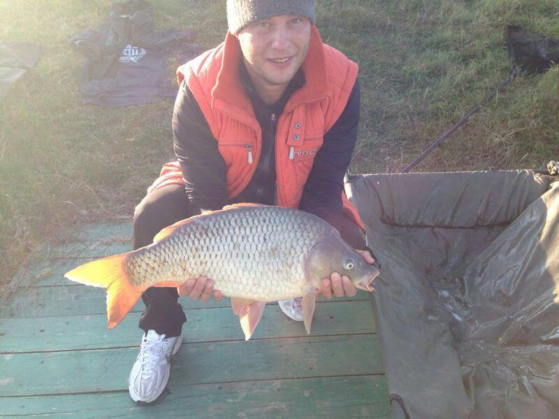 De pe balta adunate - image1111111111111.jpg